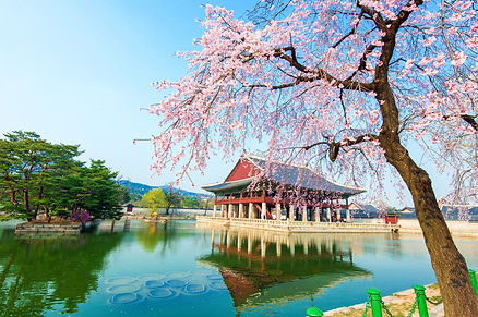 south korean building on clean pond in nature